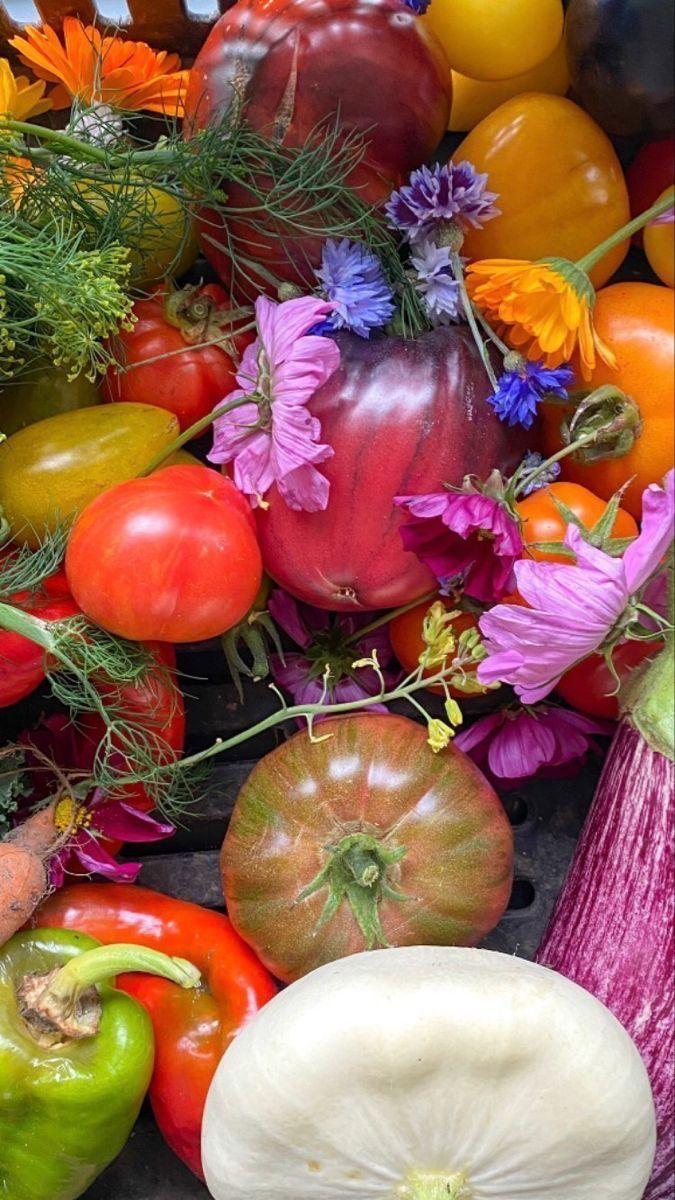 Garden's Bounty: Vibrant Veggie Variety